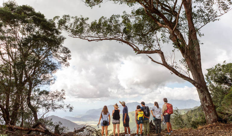 Guided Oahu Tours & Activities | Hawaii Forest & Trail