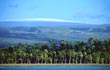 A coconut palm-lined beach - Photo credit: Kirk Aeder